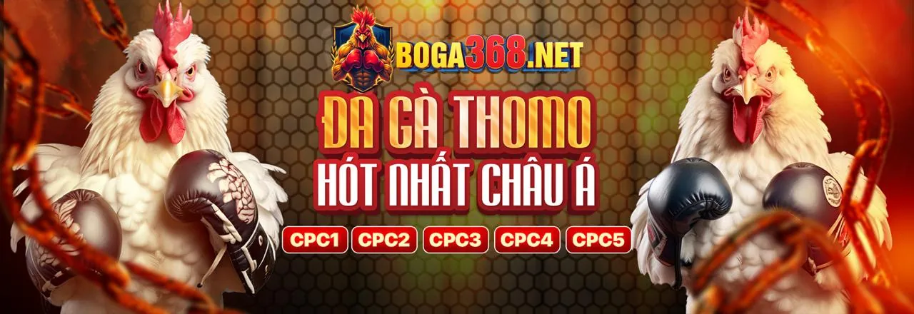 Đá Gà Trực Tuyến Hấp Dẫn tại winbet88
