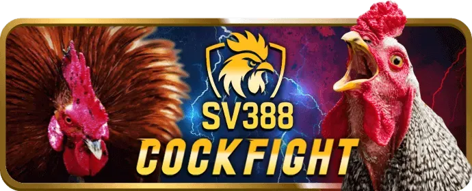 Khuyến mãi chào mừng thành viên mới cá cược thể thao winbet88